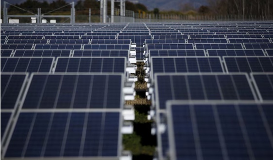 Nhật Bản "siết" dự án điện mặt trời quy mô lớn
