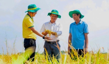 Phân bón Cà Mau 2025: Vượt “gió ngược” nhờ năng lực nội sinh