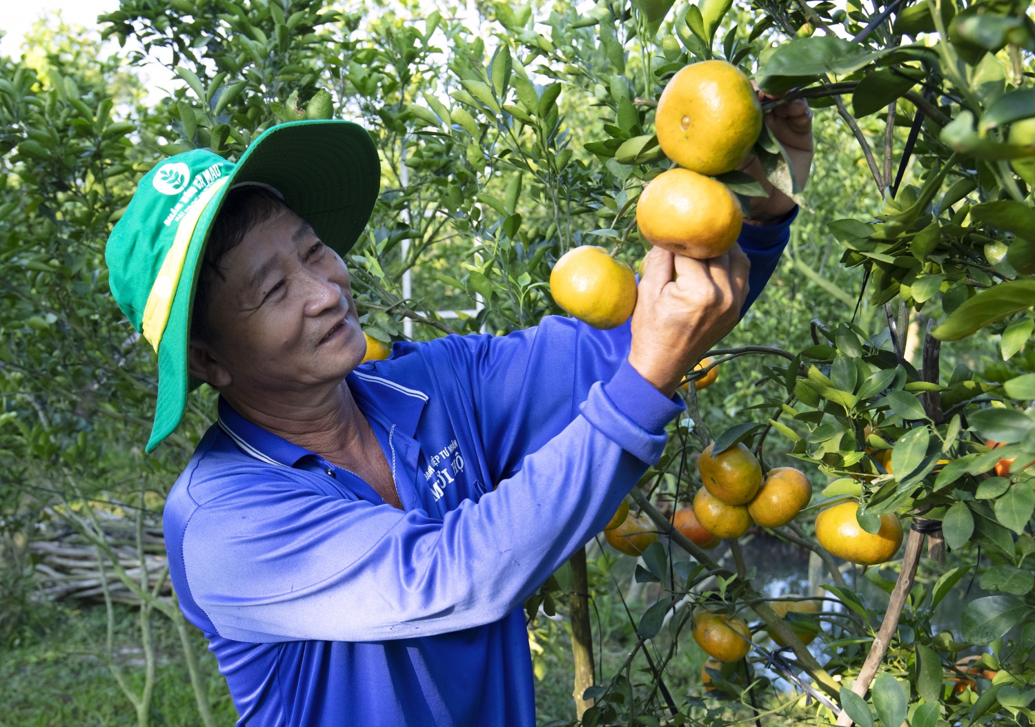 Phân bón Cà Mau 2025: Vượt “gió ngược” nhờ năng lực nội sinh