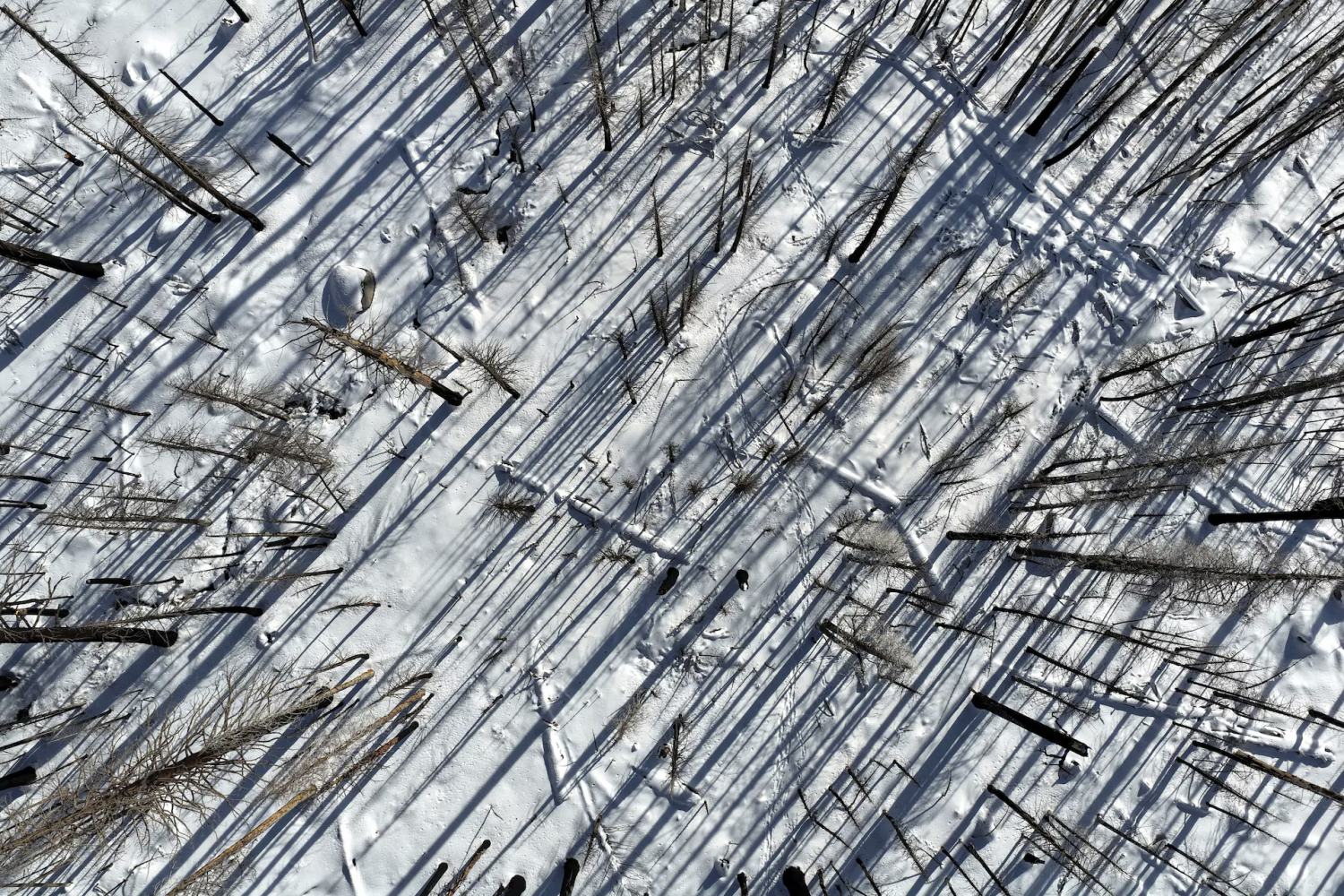 Khung cảnh thế giới vào mùa đông sẽ như thế nào?