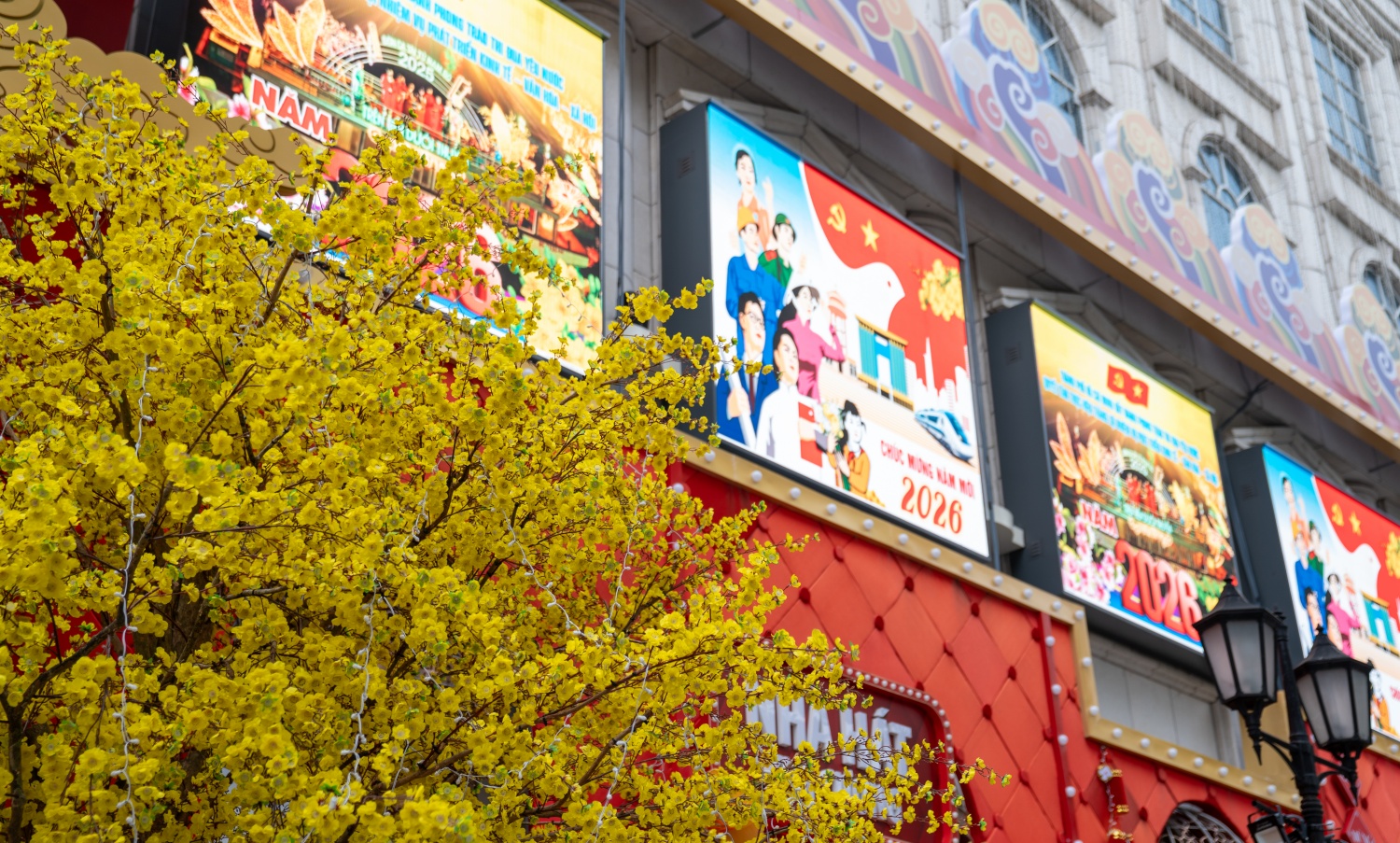 [Chùm ảnh] Trung tâm TP HCM rực rỡ sắc Xuân