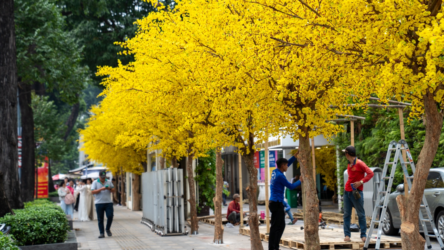 [Chùm ảnh] Trung tâm TP HCM rực rỡ sắc Xuân