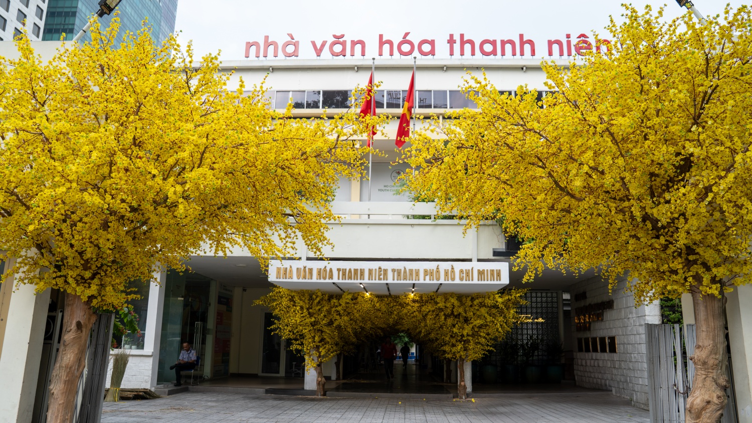 [Chùm ảnh] Trung tâm TP HCM rực rỡ sắc Xuân