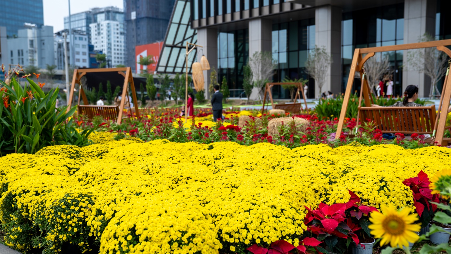 [Chùm ảnh] Trung tâm TP HCM rực rỡ sắc Xuân