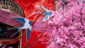 [Chùm ảnh] Trung tâm TP HCM rực rỡ sắc Xuân