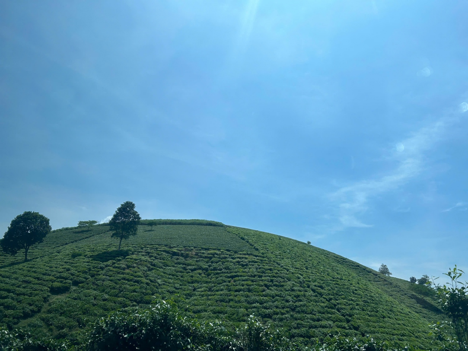 Quy định chi tiết về sàn giao dịch carbon trong nước