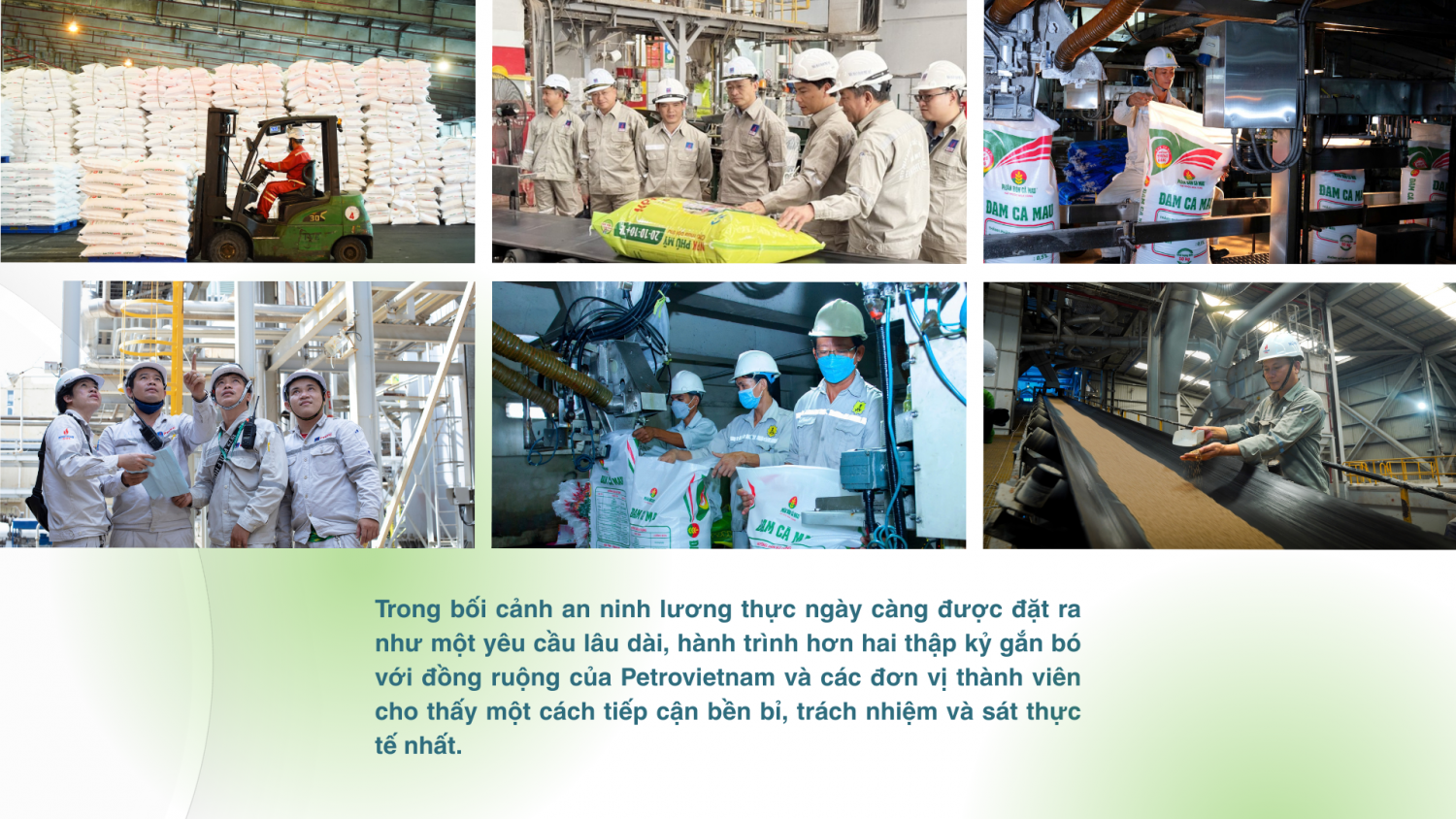 [E-magazine] Petrovietnam: Điểm tựa của an ninh lương thực