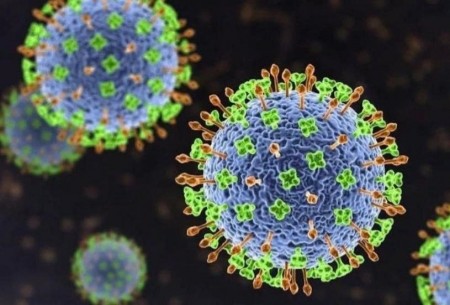 Bộ Y tế cảnh báo nguy cơ từ virus Nipah, Việt Nam siết chặt phòng dịch