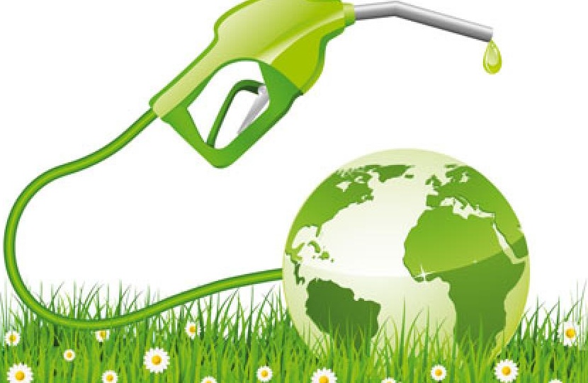 Chuyển đổi xanh phải dựa trên thực tế tăng trưởng năng lượng