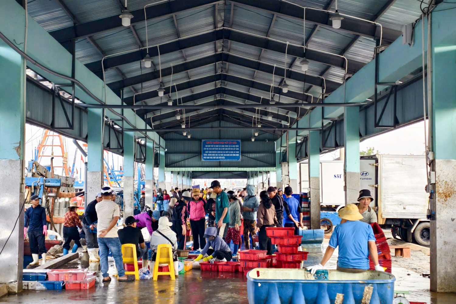 Ngư dân Quảng Ngãi phấn khởi thu hàng tấn cá tươi dịp giáp Tết