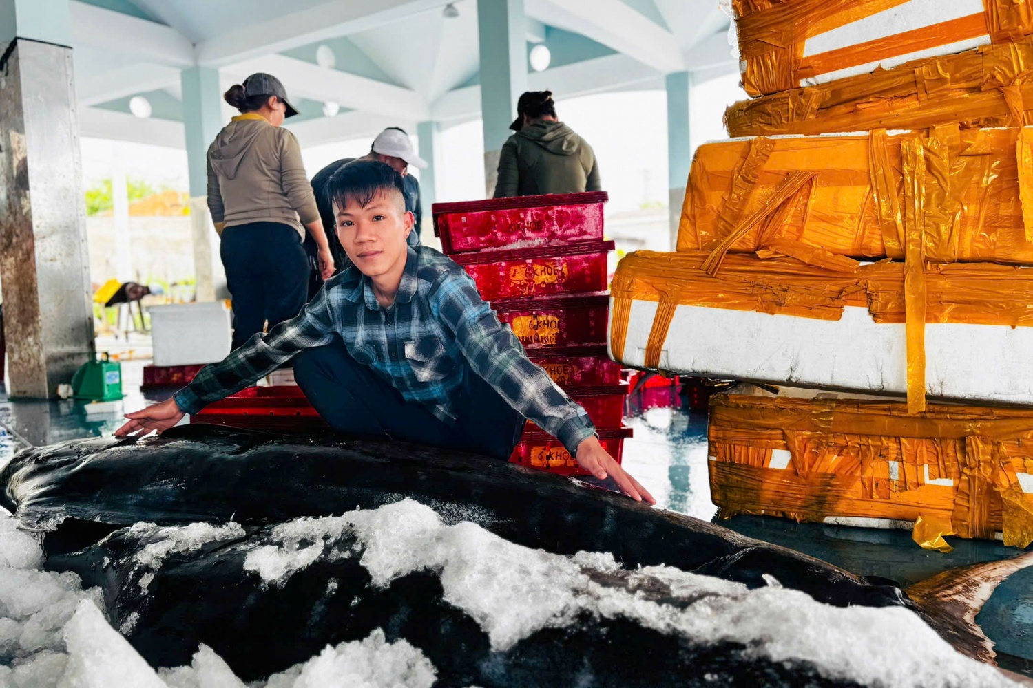 4, Sau gần nửa tháng lênh đênh trên biển để đánh bắt, khoang tàu của anh Cường trở về đất liền với khoang chứa hơn 8 tấn cá các loại. Trong đó, có gần 20 con cá ngừ đại dương trọng lượng khủng, đem lại lợi nhuận cao cho chủ tàu và các thuyền viên trong những ngày cận Tết.