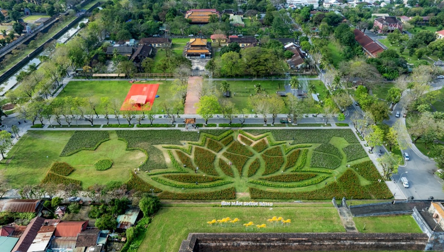 Đóa sen khổng lồ khoe sắc ở Kinh thành Huế đón Xuân 2026