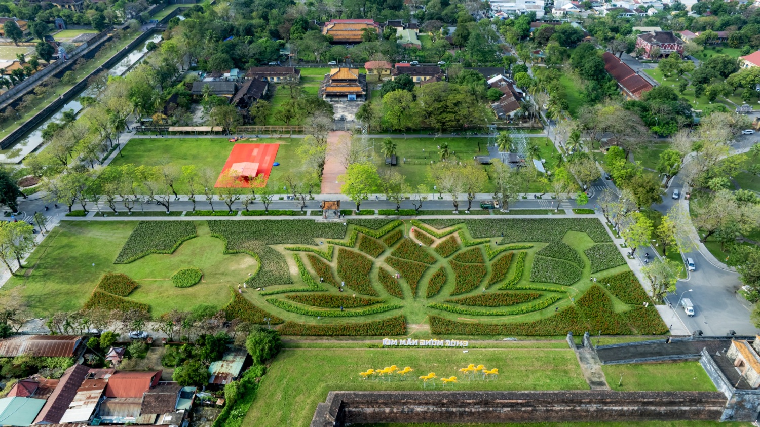 Đóa sen khổng lồ khoe sắc ở Kinh thành Huế đón Xuân 2026