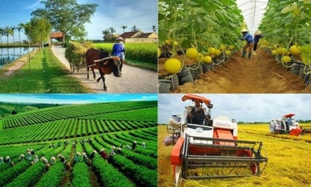 ADB và SBV nâng cao năng lực ngân hàng xanh, đẩy mạnh tài trợ khí hậu tại Việt Nam
