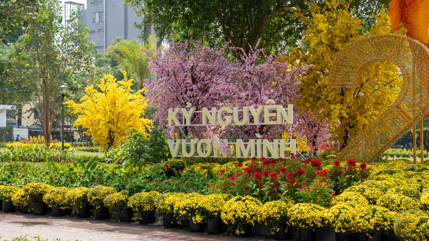 [Chùm ảnh] Nhiều công trình tại TP HCM thay 