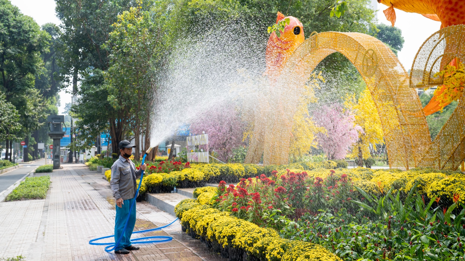 [Chùm ảnh] Nhiều công trình tại TP HCM thay 