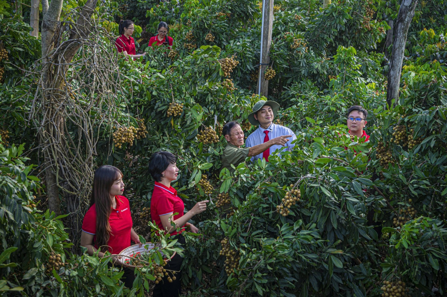 Kỳ 2: Cầu nối tín dụng xanh với thị trường trái phiếu