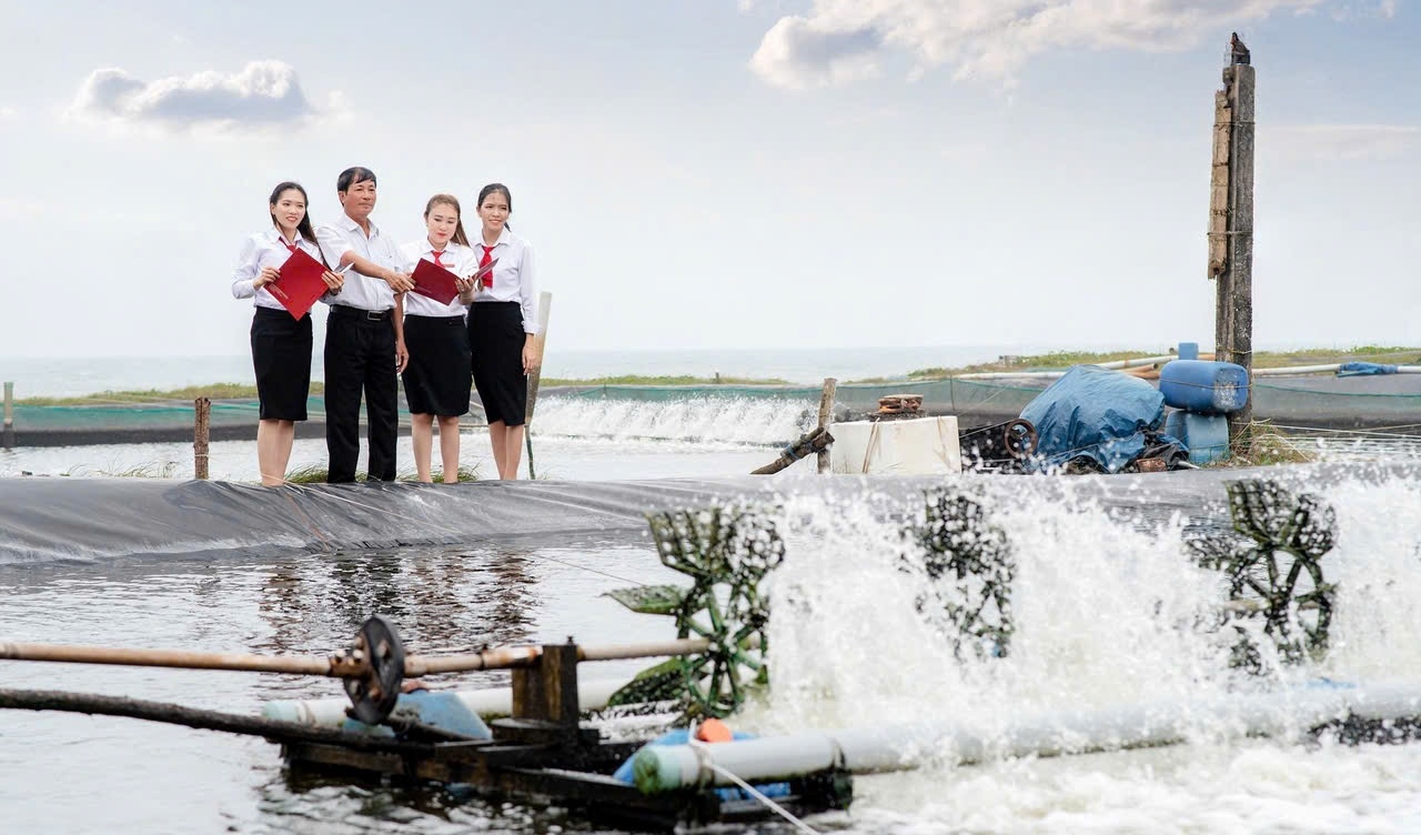 Kỳ 3: Khi thị trường vốn gặp dòng tín dụng xanh