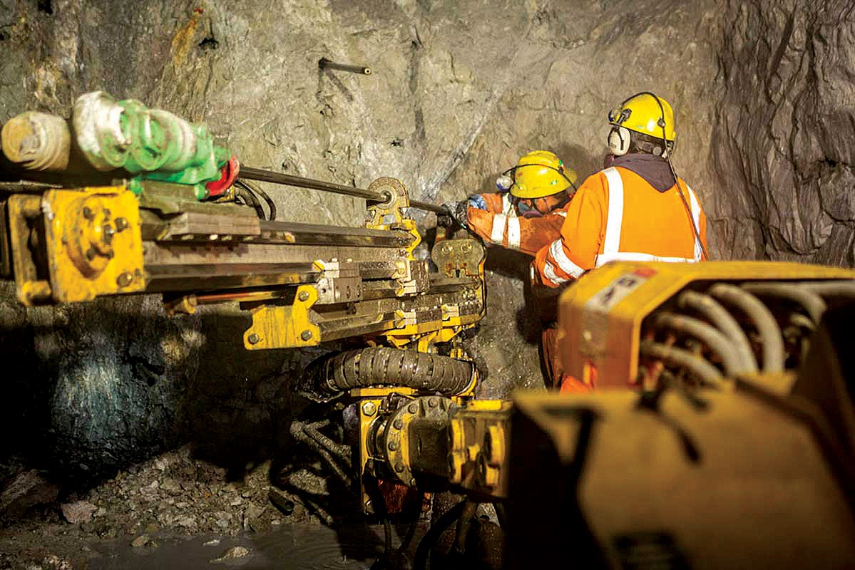 Bạc vị tướng thầm lặng của cách mạng xanh