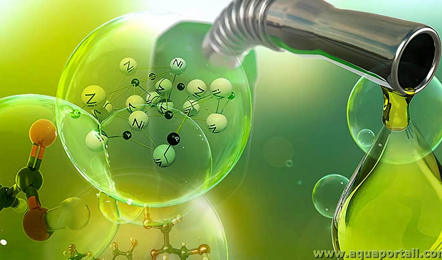 Năng lượng sinh học trong chuyển dịch carbon thấp