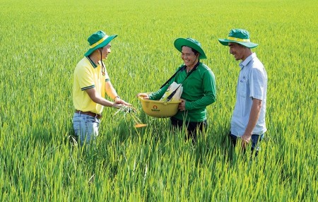 “Hạt giống Việt” nở mùa xuân mới