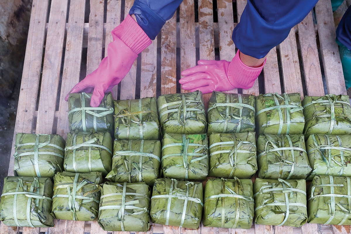 Giữ hồn cốt bánh chưng “tiến vua” nơi đất Tổ