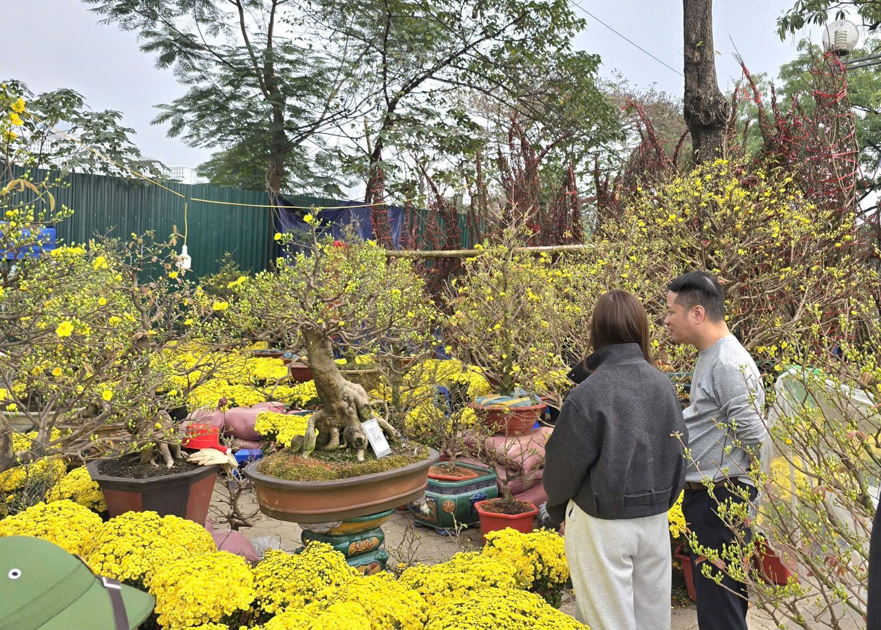 Sắc xuân hội tụ tại chợ hoa Tết Mỹ Đình