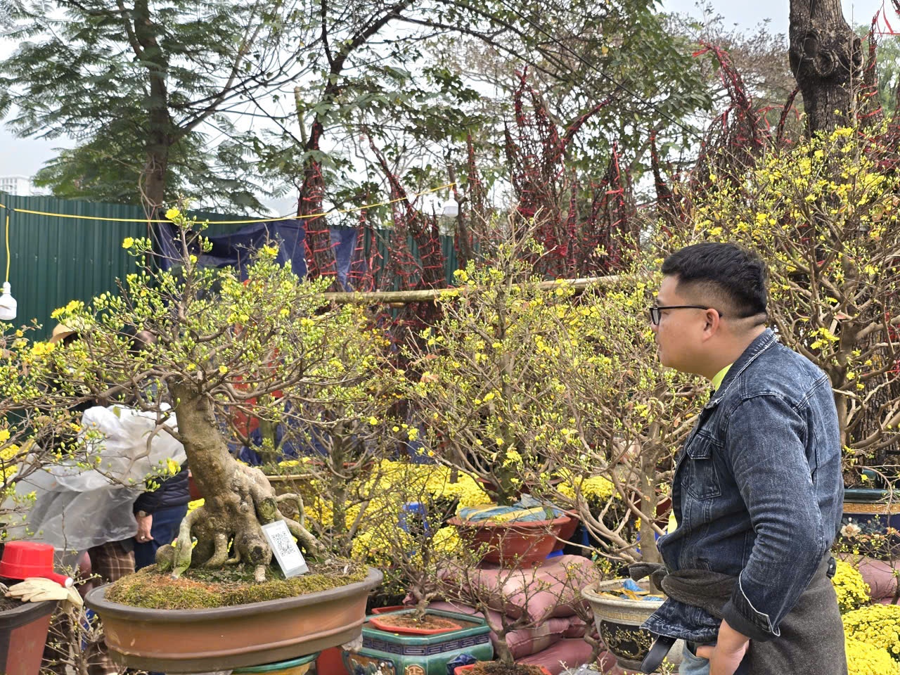 Sắc xuân hội tụ tại chợ hoa Tết Mỹ Đình