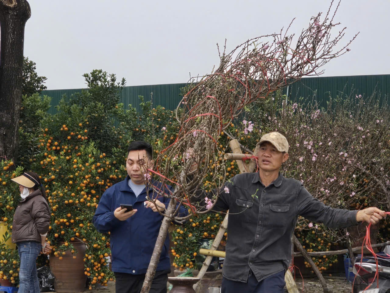 Sắc xuân hội tụ tại chợ hoa Tết Mỹ Đình