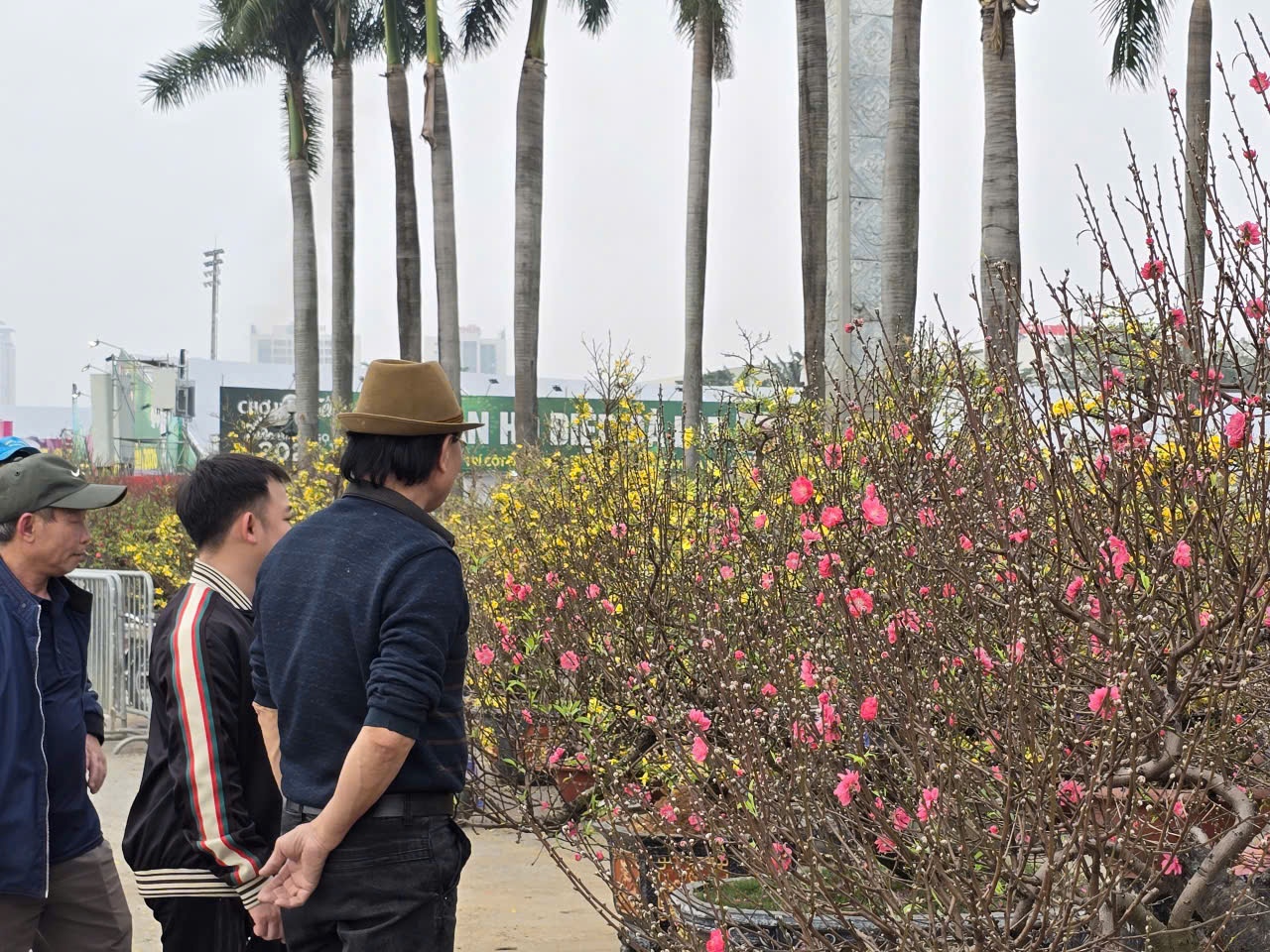 Sắc xuân hội tụ tại chợ hoa Tết Mỹ Đình