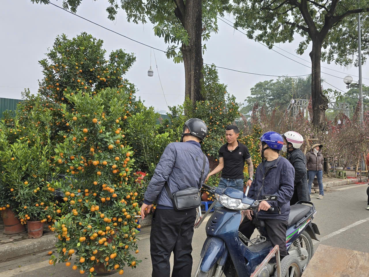 Sắc xuân hội tụ tại chợ hoa Tết Mỹ Đình