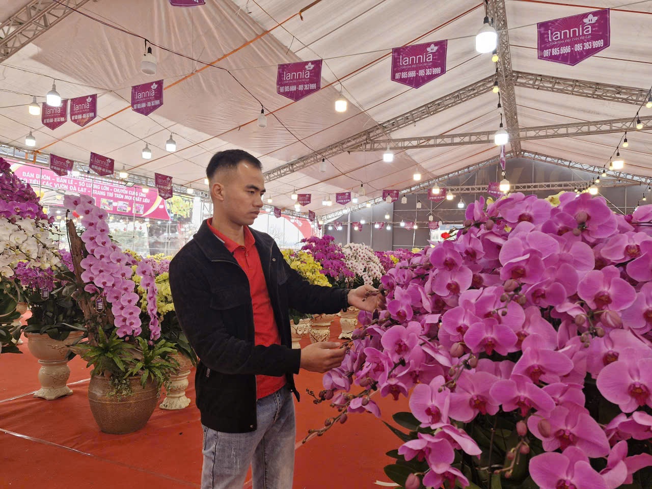 Sắc xuân hội tụ tại chợ hoa Tết Mỹ Đình