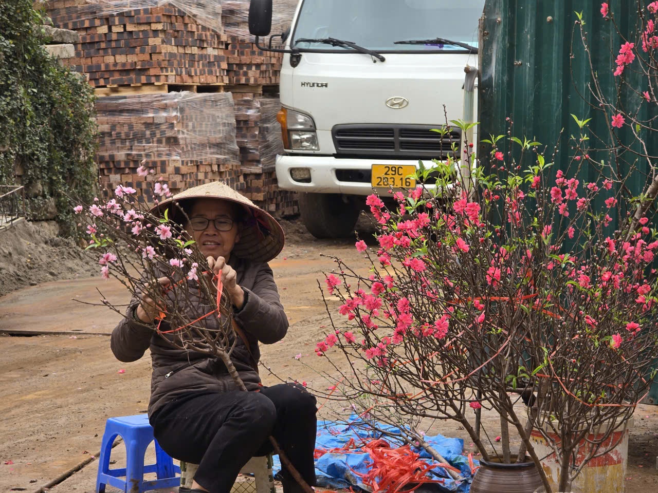 Thị trường đào Tết trầm lắng: Phác họa xu hướng tiêu dùng cuối năm