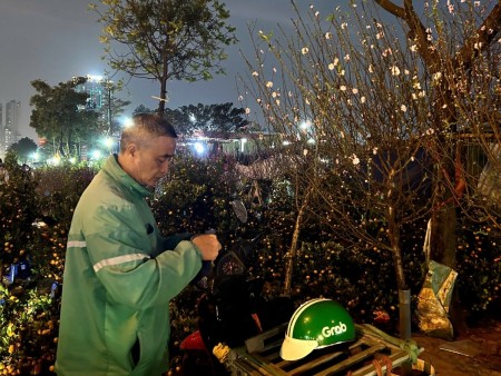 Những mong ước bình dị trước thềm xuân mới