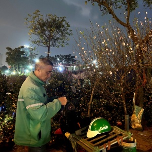 Những mong ước bình dị trước thềm xuân mới