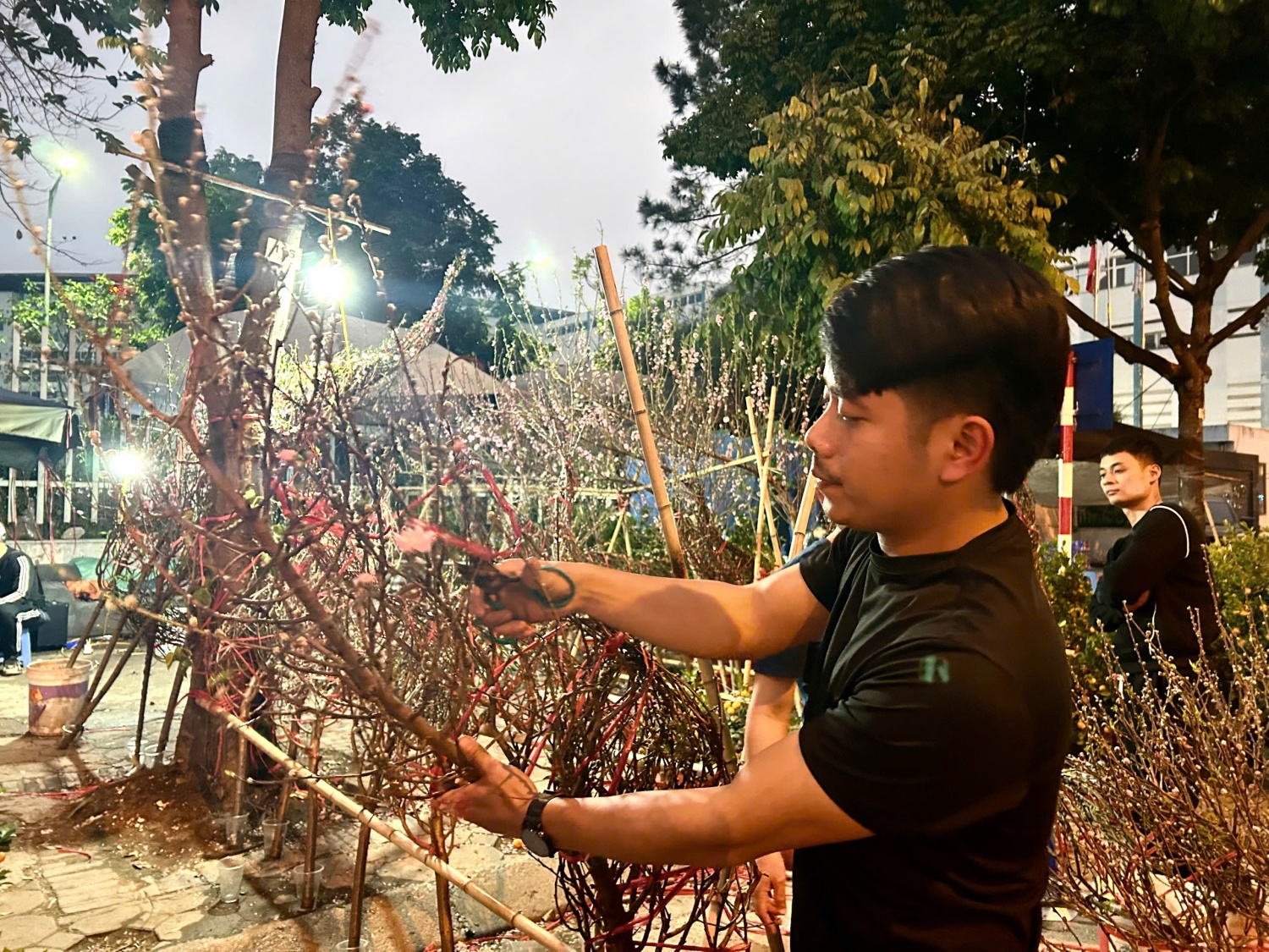 Những mong ước bình dị trước thềm xuân mới