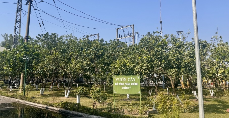 TKV nhân lên màu xanh