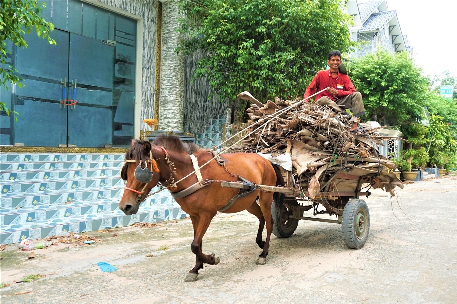 Ngựa - Biểu tượng phong phú trong tục ngữ Việt Nam