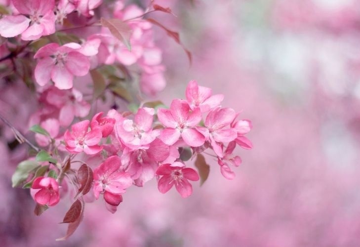 Tử vi tuần mới (16-22/2/2026): Tuổi Mão nắm bắt cơ hội, tuổi Mùi tràn đầy nhiệt huyết