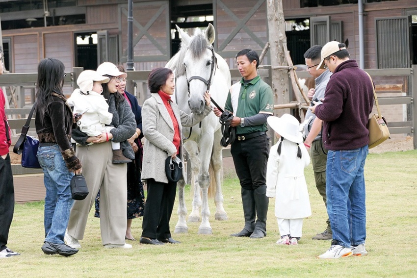 Vũ Yên - nơi hội tụ tinh hoa ngựa quý