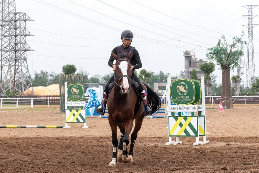 Vũ Yên - nơi hội tụ tinh hoa ngựa quý
