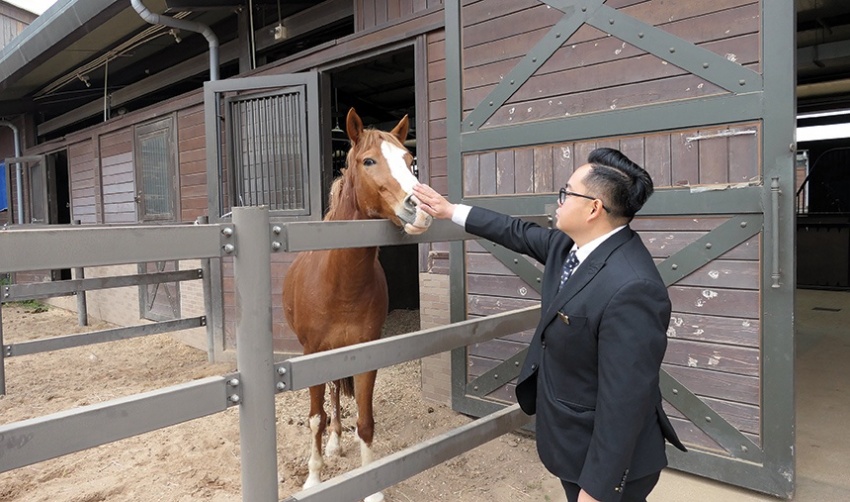 Vũ Yên - nơi hội tụ tinh hoa ngựa quý