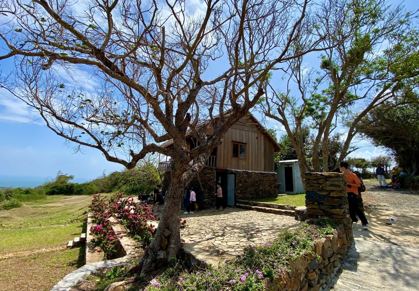 Về đồi Cổ Thạch, chạm vào vẻ đẹp nguyên sơ của vùng đất Phú Yên