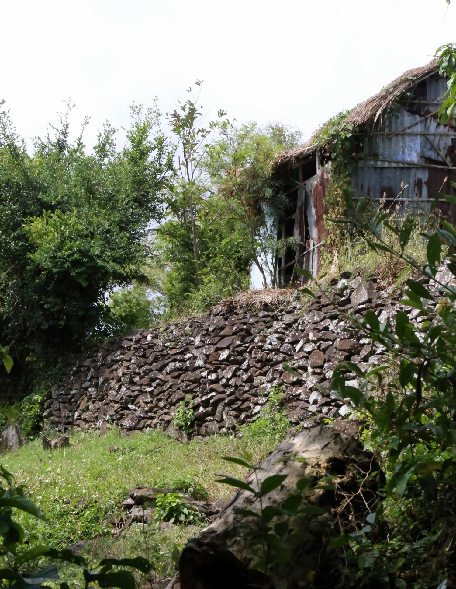 Về đồi Cổ Thạch, chạm vào vẻ đẹp nguyên sơ của vùng đất Phú Yên