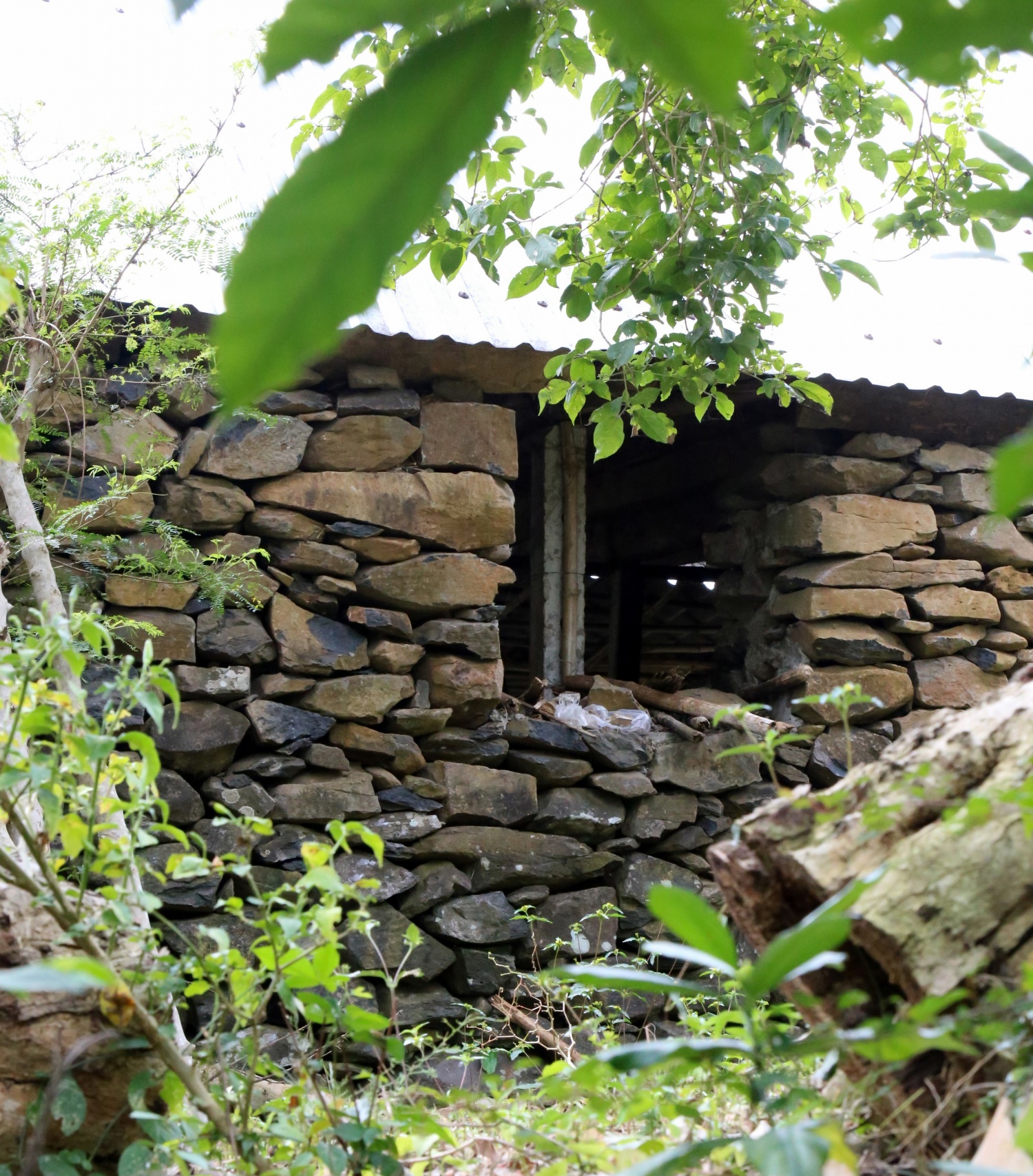 Về đồi Cổ Thạch, chạm vào vẻ đẹp nguyên sơ của vùng đất Phú Yên