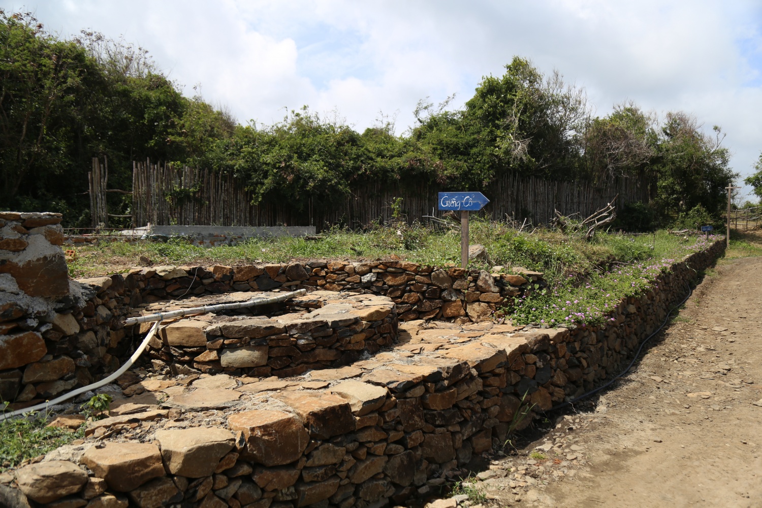 Về đồi Cổ Thạch, chạm vào vẻ đẹp nguyên sơ của vùng đất Phú Yên