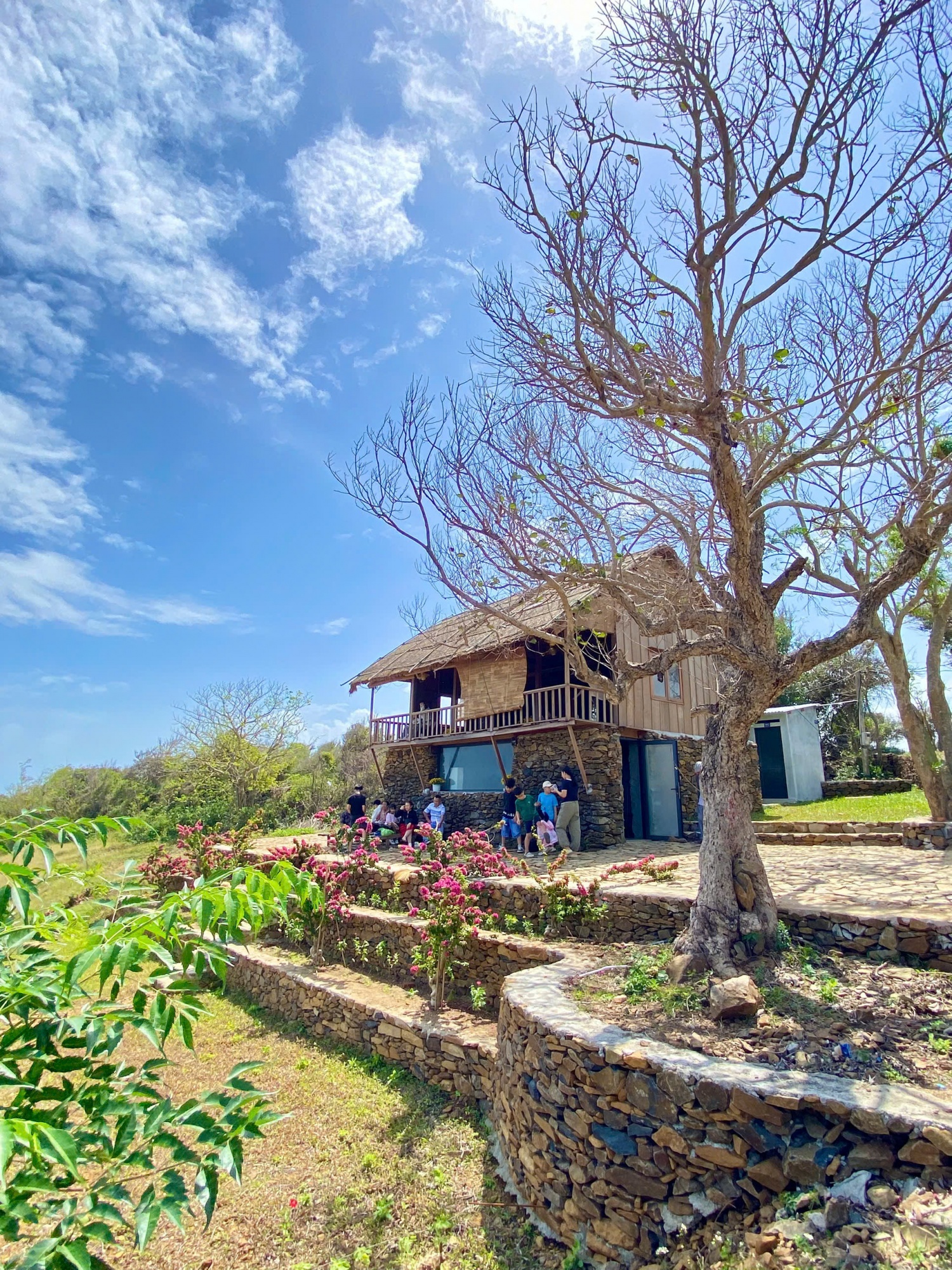 Về đồi Cổ Thạch, chạm vào vẻ đẹp nguyên sơ của vùng đất Phú Yên