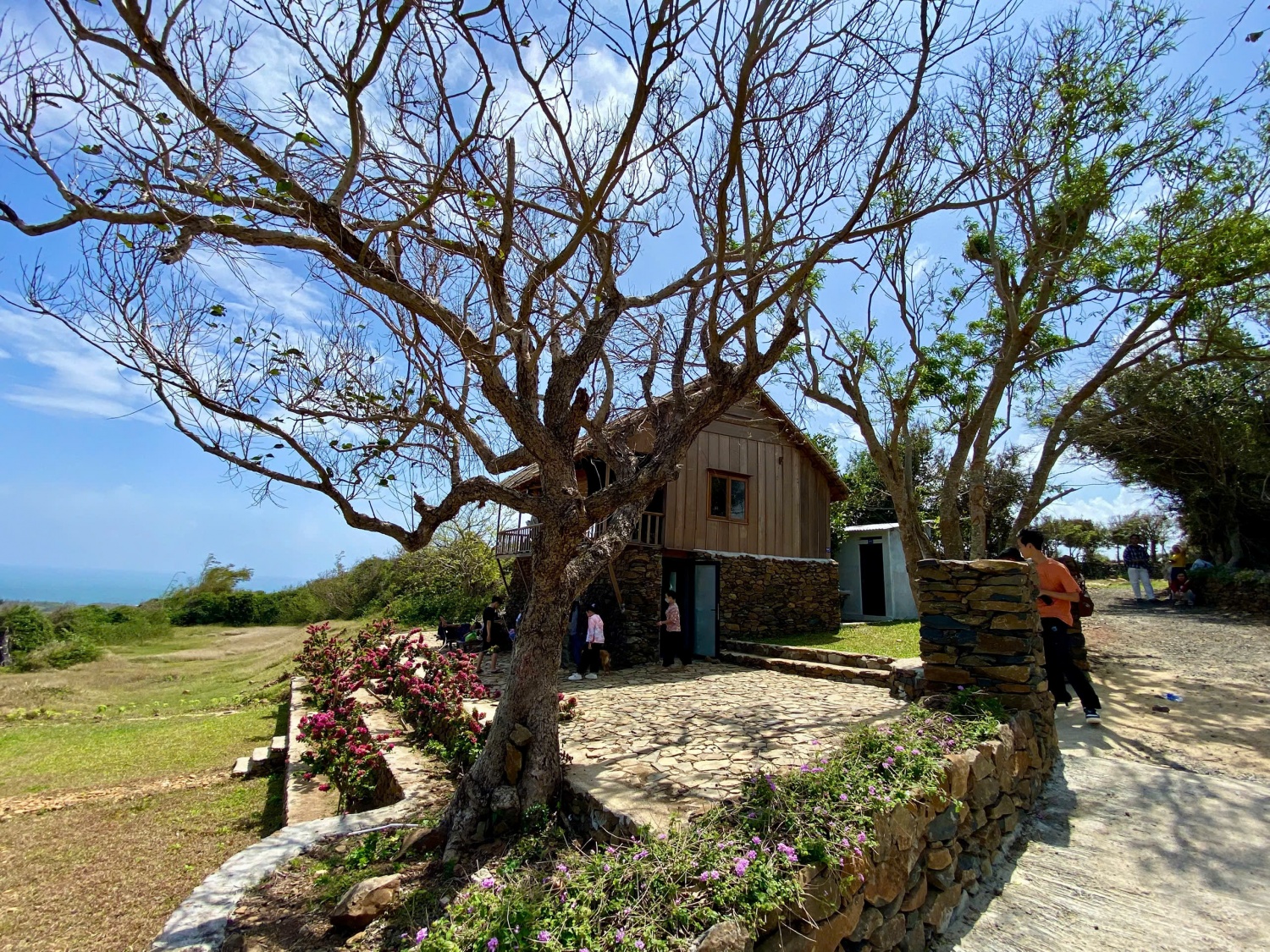 Về đồi Cổ Thạch, chạm vào vẻ đẹp nguyên sơ của vùng đất Phú Yên