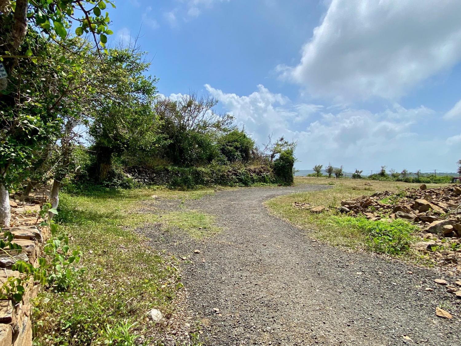 Về đồi Cổ Thạch, chạm vào vẻ đẹp nguyên sơ của vùng đất Phú Yên