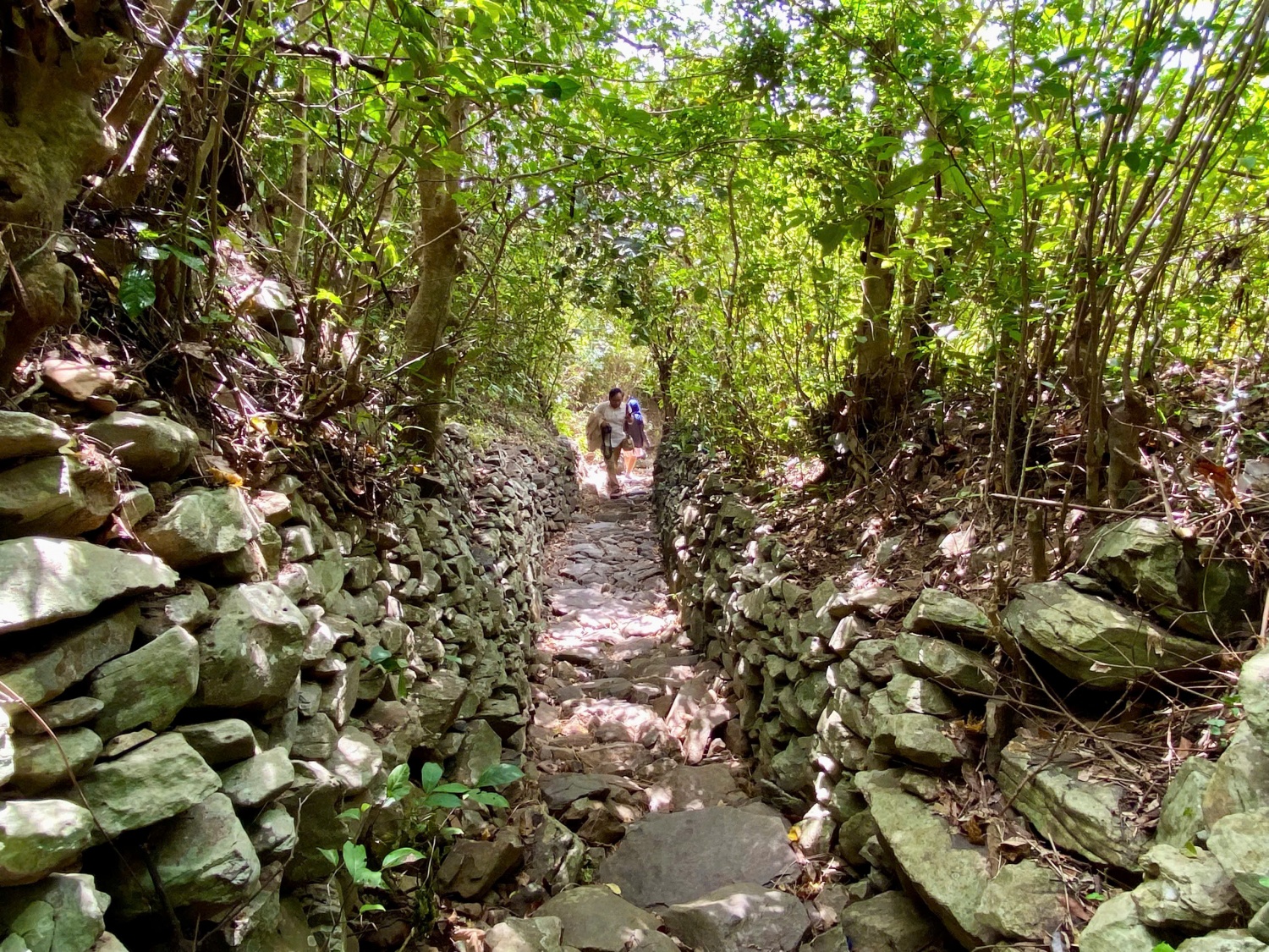 Về đồi Cổ Thạch, chạm vào vẻ đẹp nguyên sơ của vùng đất Phú Yên